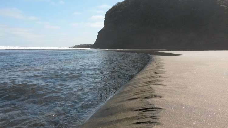 A spontaneous trip to the west coast—Bethels Beach.